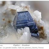 Anatase<br />Ville des Glaciers, Savoie, Auvergne-Rhône-Alpes, France<br />fov 4.8 mm<br /> (Author: ploum)