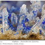 Azurite on Quartz<br />Mont Chemin, Martigny, Wallis (Valais), Switzerland<br />fov 5.5 mm<br /> (Author: ploum)