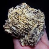 Barita con Goethita pseudo PiritaMines de Baritina, Coll d'en Peiró, Alforja, Comarca Baix Camp, Tarragona, Cataluña / Catalunya, España12 x 10 x 5 cm. (Autor: karbu8)