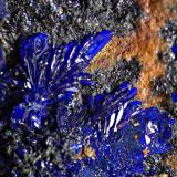 Azurita<br />Calicata Dolores, Pastrana, Mazarrón / Águilas, Comarca Alto Guadalentín, Región de Murcia (Murcia), España<br />0,4 cm<br /> (Autor: DPC)