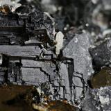 Galena<br />Depósito Batantsi, Mina Batantsi, Zona minera Madan, Montes Rhodope, Smolyan Oblast, Bulgaria<br />1 cm<br /> (Autor: DPC)