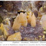 Anatase, Orthoclase (variety adularia), ClinochloreCol de la Madeleine, Macizo La Lauzière, Saint-Jean-de-Maurienne, Saboya, Auvergne-Rhône-Alpes, Franciafov 5.5 mm (Author: ploum)