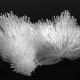 Natrolite<br />Nashik District (Nasik), Maharashtra, India<br />130 x 100 x 90 mm<br /> (Author: Rob Schnerr)
