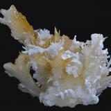 Aragonito (variedad flos ferri)<br />Mina Salsigne, Salsigne, Mas-Cabardès, Carcassonne, Aude, Occitanie, Francia<br />15,4 x 14,2 cm.<br /> (Autor: Xavier bordas)