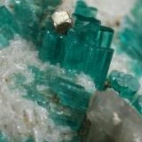 Beryl (variety emerald), Pyrite, Calcite, Albite (variety cleavelandite)<br />Chivor Mining District, Camoyo Mine, Municipio Chivor, Eastern Emerald Belt, Boyacá Department, Colombia<br />70x62x11mm, xls up to 8mm long<br /> (Author: Fiebre Verde)