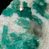 Beryl (variety emerald), Pyrite, Calcite, Albite (variety cleavelandite)<br />Chivor Mining District, Camoyo Mine, Municipio Chivor, Eastern Emerald Belt, Boyacá Department, Colombia<br />70x62x11mm, xls up to 8mm long<br /> (Author: Fiebre Verde)