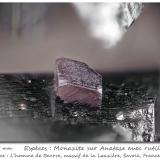 Monazite on Anatase and with Rutile<br />L'Homme de Beurre, La Lauzière Massif, Saint-Jean-de-Maurienne, Savoie, Auvergne-Rhône-Alpes, France<br />fov 1.6 mm<br /> (Author: ploum)