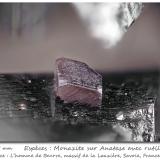 Monazite on Anatase and with RutileL'Homme de Beurre, La Lauzière Massif, Saint-Jean-de-Maurienne, Savoie, Auvergne-Rhône-Alpes, Francefov 1.6 mm (Author: ploum)