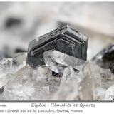Hematite and Quartz<br />Grand Pic de la Lauzière, La Lauzière Massif, Saint-Jean-de-Maurienne, Savoie, Auvergne-Rhône-Alpes, France<br />fov 8.2 mm<br /> (Author: ploum)