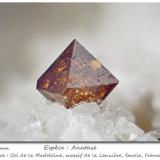 Anatase<br />Col de la Madeleine, La Lauzière Massif, Saint-Jean-de-Maurienne, Savoie, Auvergne-Rhône-Alpes, France<br />fov 4.0 mm<br /> (Author: ploum)