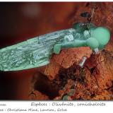 Olivenite and ConichalciteMina Christiana, Minas Kamariza, Agios Konstantinos, Distrito minero Lavrion, Prefectura Attikí (Attica), Greciafov 1.8 mm (Author: ploum)