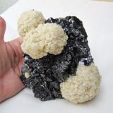 Barite on Sphalerite<br />Elmwood Mine, Carthage, Central Tennessee Ba-F-Pb-Zn District, Smith County, Tennessee, USA<br />Specimen size 15 cm, largest barite "ball" 6,5 cm<br /> (Author: Tobi)