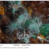 Agardite<br />Kamariza Mines, Agios Konstantinos, Lavrion Mining District, Attikí (Attica) Prefecture, Greece<br />fov 2.2 mm<br /> (Author: ploum)