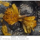 Cacoxenite<br />Hot Springs, Garland County, Arkansas, USA<br />fov 1.1 mm<br /> (Author: ploum)