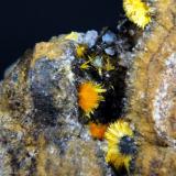 BoltwooditaConcesión Goanikontes, Goanikontes, Distrito Swakopmund, Región Erongo, NamibiaCampo de visión 3 cm. (Autor: Antonio P. López)