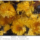 Cacoxenite<br />Hot Springs, Garland County, Arkansas, USA<br />fov 2.0 mm<br /> (Author: ploum)