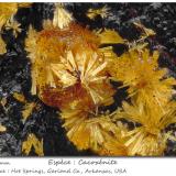 Cacoxenite<br />Hot Springs, Garland County, Arkansas, USA<br />fov 2.0 mm<br /> (Author: ploum)