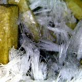Bultfonteinita y PoldervaartitaMina N'Chwaning II, Zona minera N'Chwaning, Kuruman, Kalahari manganese field (KMF), Provincia Septentrional del Cabo, SudáfricaCampo de visión 10 mm. (Autor: Antonio P. López)