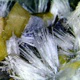 Bultfonteinita y PoldervaartitaMina N'Chwaning II, Zona minera N'Chwaning, Kuruman, Kalahari manganese field (KMF), Provincia Septentrional del Cabo, SudáfricaCampo de visión 10 mm. (Autor: Antonio P. López)