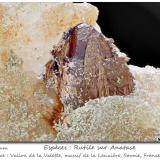 Anatase and RutileCol de la Madeleine, Macizo La Lauzière, Saint-Jean-de-Maurienne, Saboya, Auvergne-Rhône-Alpes, Franciafov 7.5 mm (Author: ploum)