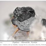 Hematite and Rutile<br />Vallon de la Valette, La Lauzière Massif, Saint-Jean-de-Maurienne, Savoie, Auvergne-Rhône-Alpes, France<br />fov 4.5 mm<br /> (Author: ploum)