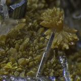 Orpiment, Baryte, Hutchinsonite<br />Quiruvilca Mine (La Libertad Mine), Quiruvilca District, Santiago de Chuco Province, La Libertad Department, Peru<br />FOV appr. 5 mm<br /> (Author: Rob Schnerr)