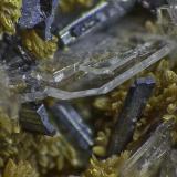 Orpiment, Baryte, Hutchinsonite<br />Quiruvilca Mine (La Libertad Mine), Quiruvilca District, Santiago de Chuco Province, La Libertad Department, Peru<br />FOV appr. 5 mm<br /> (Author: Rob Schnerr)