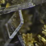 Orpiment, Baryte, Hutchinsonite<br />Quiruvilca Mine (La Libertad Mine), Quiruvilca District, Santiago de Chuco Province, La Libertad Department, Peru<br />FOV appr. 5 mm<br /> (Author: Rob Schnerr)