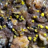 Haiweeita<br />Teófilo Otoni, Valle Mucuri, Minas Gerais, Brasil<br />Campo de visión 4 cm.<br /> (Autor: Antonio P. López)