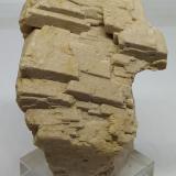 Microclina<br />Pedrera Mas Sever, Massabè (Mas Ceber), Sils, Comarca La Selva, Gerona / Girona, Cataluña / Catalunya, España<br />8,5x6cm<br /> (Autor: Adri Rodríguez)