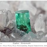 Beryl (variety emerald)<br />Muzo mining district, Western Emerald Belt, Boyacá Department, Colombia<br />fov 13 mm<br /> (Author: ploum)