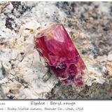 Beryl (variety red beryl)<br />Ruby Violet Claims, Wah Wah Mountains, Beaver County, Utah, USA<br /><br /> (Author: ploum)