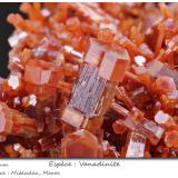 Vanadinite<br />Mibladen (Mibladen mining district), Midelt, Midelt Province, Drâa-Tafilalet Region, Morocco<br />fov 16 mm<br /> (Author: ploum)