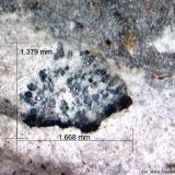 Roedderita.Cancarix Volcano, Sierra de las Cabras, Cancarix, Hellín, Comarca Campos de Hellín, Albacete, Castilla-La Mancha, Spain1´668 x 1´379 mm. (Autor: Jesus Franquesa Baucells)