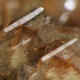 Baryte, Realgar<br />Baia Sprie, Maramures, Romania<br />FOV appr. 0,5 cm<br /> (Author: Rob Schnerr)