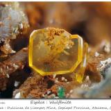 Wulfenite<br />Dulcinea de Llampos Mine, Cachiyuyo de Llampos, Copiapó Province, Atacama Region, Chile<br />fov 3.7 mm<br /> (Author: ploum)