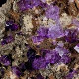 Fluorita<br />Mina Ojuela, Mapimí, Municipio Mapimí, Durango, México<br />9,2 x 9,0 cm.<br /> (Autor: Xavier bordas)