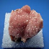 Rhodochrosite<br />Chihuahua, Mexico<br />22 mm x 20 mm x 15 mm<br /> (Author: Don Lum)