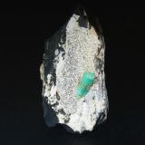 Berilo (variedad esmeralda)Muzo (distrito minero), Cinturón Esmeraldífero Occidental, Departamento Boyacá, Colombia7 x 5 cm. (Autor: Antonio P. López)