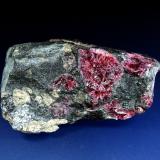 Eudialita (Eudialyta)<br />Macizo Khibiny, Península Kola, Murmanskaja Oblast, Región del Norte, Rusia<br />8 x 6 cm.<br /> (Autor: Antonio P. López)