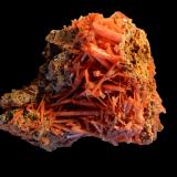 Crocoite<br />Tasmania, Australia<br />120x80x70 mm<br /> (Author: Dany Mabillard)