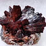 Erythrite<br />Bou Azzer mining district, Drâa-Tafilalet Region, Morocco<br />4x4 cm. approx<br /> (Author: Enrique Llorens)