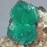 Fluorapophyllita-(K) (Apofilita)<br />India<br />25x40 mm<br /> (Autor: Ramon A  Lopez Garcia)