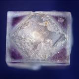 Fluorite<br />Astro Pocket No. 2, Pikes Peak, El Paso County, Colorado, USA<br />1.3 cm<br /> (Author: Bob Carnein)