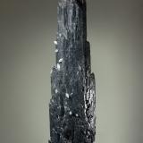 Gypsum<br />Herja Mine, Chiuzbaia, Baia Sprie, Maramures, Romania<br />2.5 cm x 9.0 cm<br /> (Author: Michael Shaw)