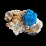 Cavansite on Stilbite-Ca<br />Wagholi Quarry, Wagholi, Pune District (Poonah District), Maharashtra, India<br />50x30x40 mm (20x15x15 mm)<br /> (Author: Dany Mabillard)