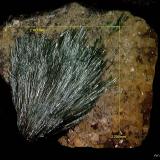 Gormanita<br />Zona Rapid Creek, distrito minero Dawson, Territorio Yukon, Canadá<br />2´236 x 2´161 mm.<br /> (Autor: Jesus Franquesa Baucells)