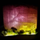 Elbaite (Tourmaline Group), Albite, Quartz<br />Badakhshan Province, Afghanistan<br />12 cm x  11.5 cm<br /> (Author: Don Lum)