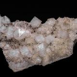 Quartz, Calcite, Hematite<br />Roncari Quarry, East Granby, Hartford County, Connecticut, USA<br />8.9 x 5.0 cm<br /> (Author: am mizunaka)