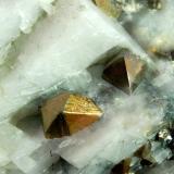Chalcopyrite<br />French Creek Mines, St. Peters, Warwick Township, Chester County, Pennsylvania, USA<br />6.0 cm x 8.0 cm<br /> (Author: Michael Shaw)